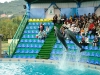 Дельфинарий