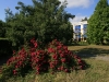 в Адлере